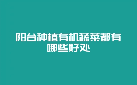 阳台种植有机蔬菜都有哪些好处-会东网