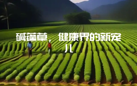 碱蓬草，健康界的新宠儿-会东网