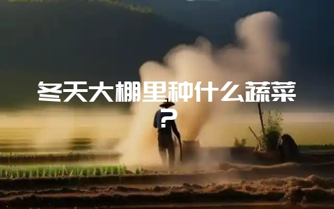 冬天大棚里种什么蔬菜？-会东网