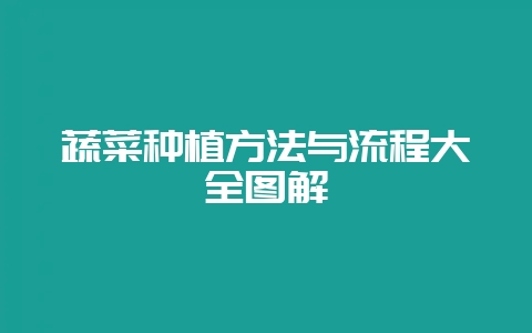 蔬菜种植方法与流程大全图解-会东网
