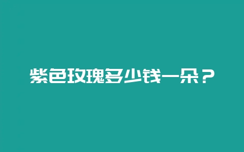 紫色玫瑰多少钱一朵？-会东网