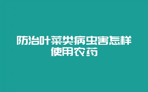 防治叶菜类病虫害怎样使用农药-会东网