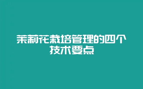 茉莉花栽培管理的四个技术要点-会东网