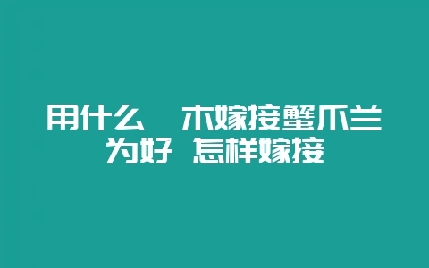 用什么砧木嫁接蟹爪兰为好 怎样嫁接-会东网