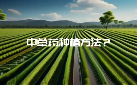 中草药种植方法？-会东网