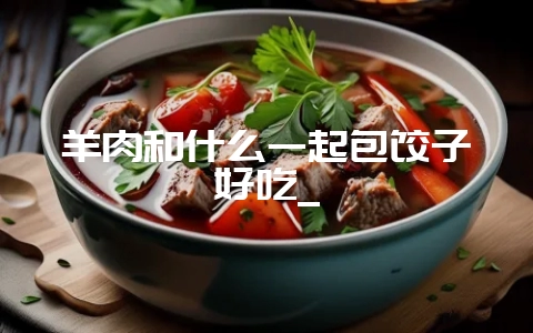 羊肉和什么一起包饺子好吃_-会东网
