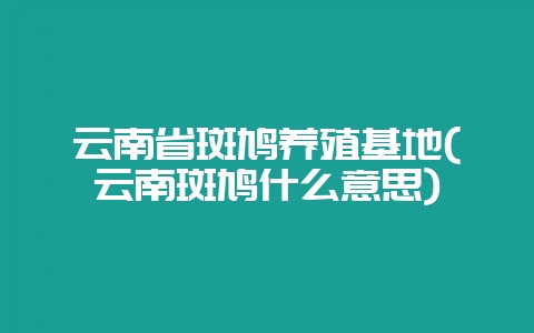 云南省斑鸠养殖基地(云南斑鸠什么意思)-会东网