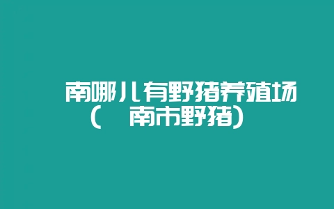 陇南哪儿有野猪养殖场(陇南市野猪)-会东网