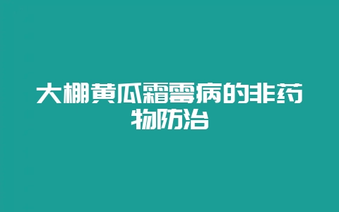 大棚黄瓜霜霉病的非药物防治-会东网