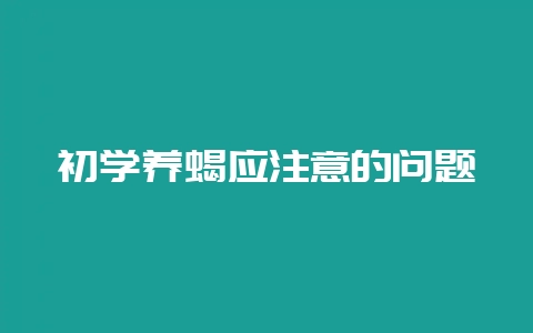初学养蝎应注意的问题-会东网