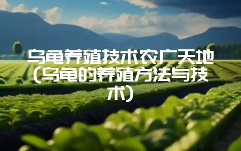 乌龟养殖技术农广天地(乌龟的养殖方法与技术)-会东网