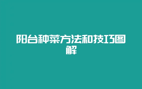 阳台种菜方法和技巧图解-会东网