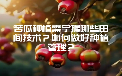 苦瓜种植需掌握哪些田间技术？如何做好种植管理？-会东网