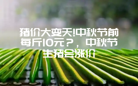 猪价大变天!中秋节前每斤10元？，中秋节生猪会涨价-会东网