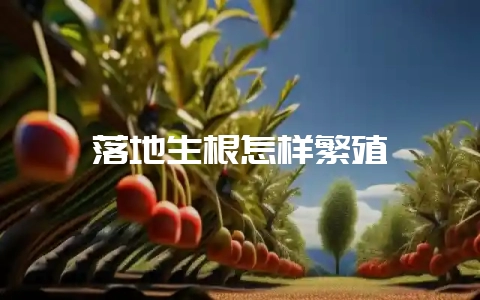 落地生根怎样繁殖-会东网