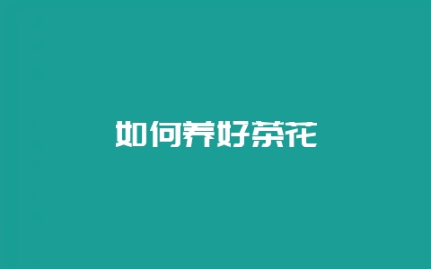 如何养好茶花-会东网