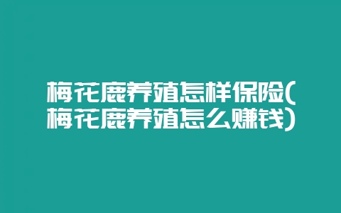梅花鹿养殖怎样保险(梅花鹿养殖怎么赚钱)-会东网