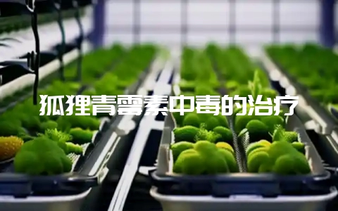 狐狸青霉素中毒的治疗-会东网