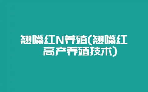 翘嘴红N养殖(翘嘴红鲌高产养殖技术)-会东网