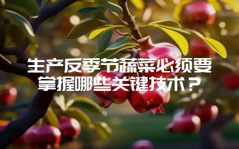 生产反季节蔬菜必须要掌握哪些关键技术？-会东网