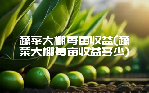 蔬菜大棚每亩收益(蔬菜大棚每亩收益多少)-会东网