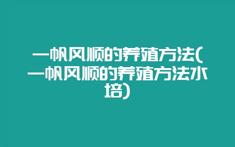一帆风顺的养殖方法(一帆风顺的养殖方法水培)-会东网