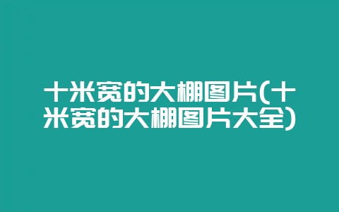 十米宽的大棚图片(十米宽的大棚图片大全)-会东网