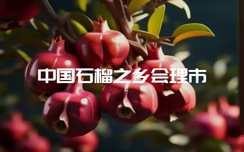 中国石榴之乡会理市-会东网
