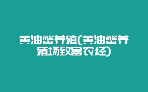 黄油蟹养殖(黄油蟹养殖场致富农经)-会东网