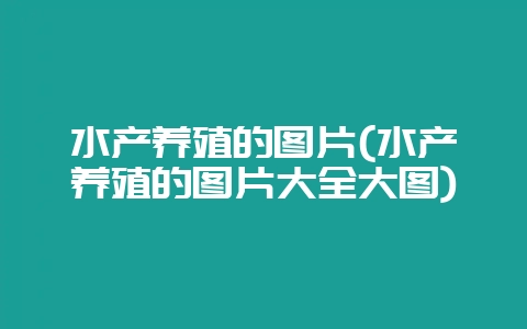 水产养殖的图片(水产养殖的图片大全大图)-会东网
