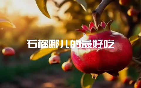 石榴哪儿的最好吃插图 石榴哪儿的最好吃插图
