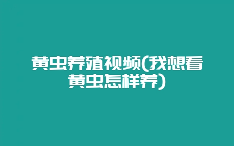 黄虫养殖视频(我想看黄虫怎样养)-会东网