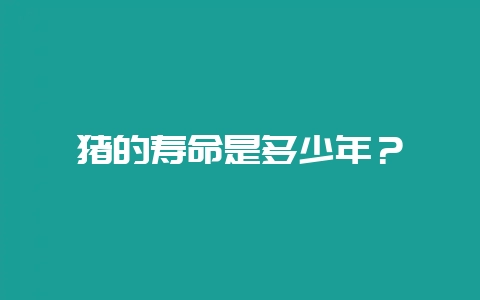 猪的寿命是多少年？-会东网