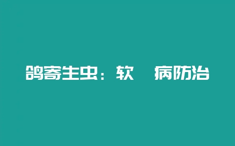 鸽寄生虫：软蜱病防治-会东网