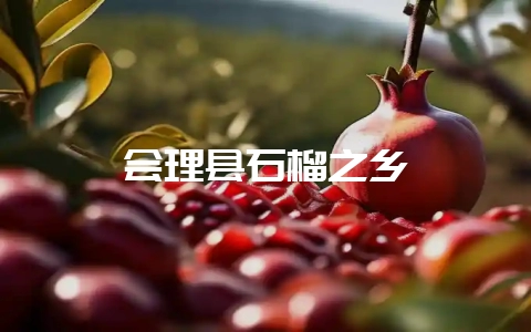 会理县石榴之乡-会东网