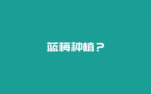 蓝梅种植?-会东网