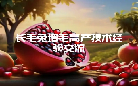 长毛兔增毛高产技术经验交流-会东网