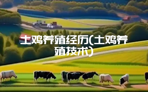 土鸡养殖经历(土鸡养殖技术)-会东网