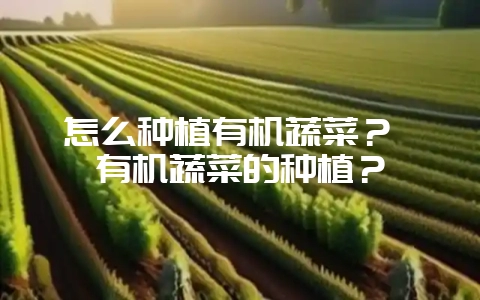 怎么种植有机蔬菜？ 有机蔬菜的种植？-会东网