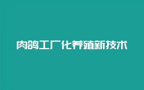 肉鸽工厂化养殖新技术-会东网