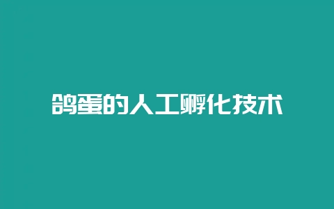 鸽蛋的人工孵化技术-会东网