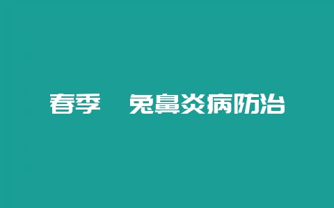 春季獭兔鼻炎病防治-会东网