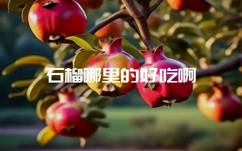 石榴哪里的好吃啊插图 石榴哪里的好吃啊插图