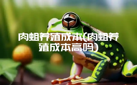 肉蛆养殖成本(肉蛆养殖成本高吗)-会东网