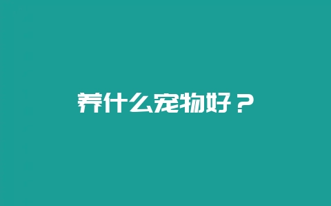 养什么宠物好？-会东网