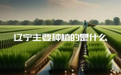 辽宁主要种植的是什么-会东网