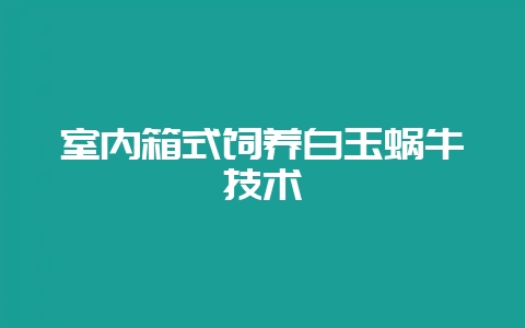 室内箱式饲养白玉蜗牛技术-会东网