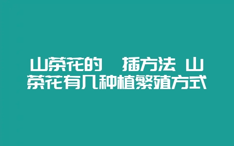 山茶花的扦插方法 山茶花有几种植繁殖方式-会东网