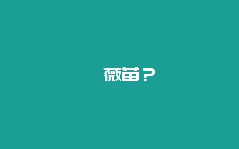 蔷薇苗?-会东网