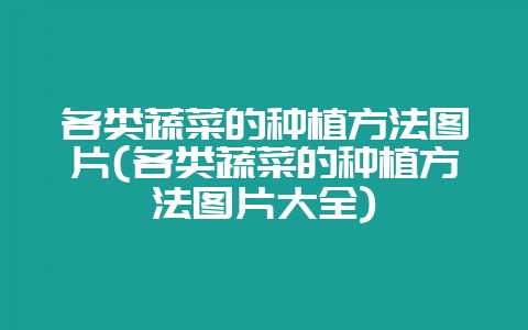 各类蔬菜的种植方法图片(各类蔬菜的种植方法图片大全)-会东网
